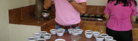 2017年２月コーヒー豆ラインナップ