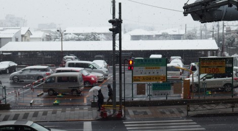 また雪です(汗…)