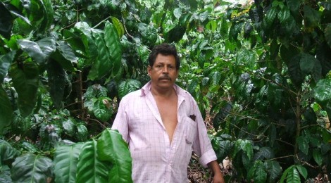 ニカラグアから巨大豆！